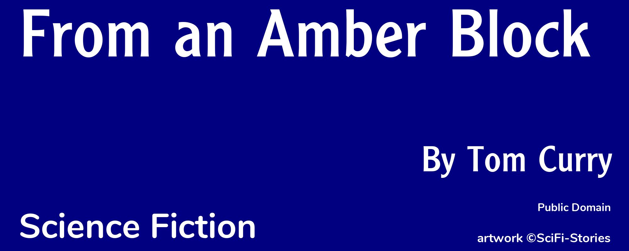 From an Amber Block - Cover